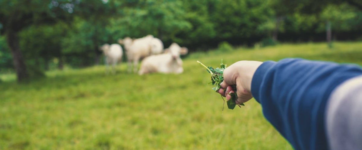 markus-spiske-EO9aV8ecf5U-unsplash